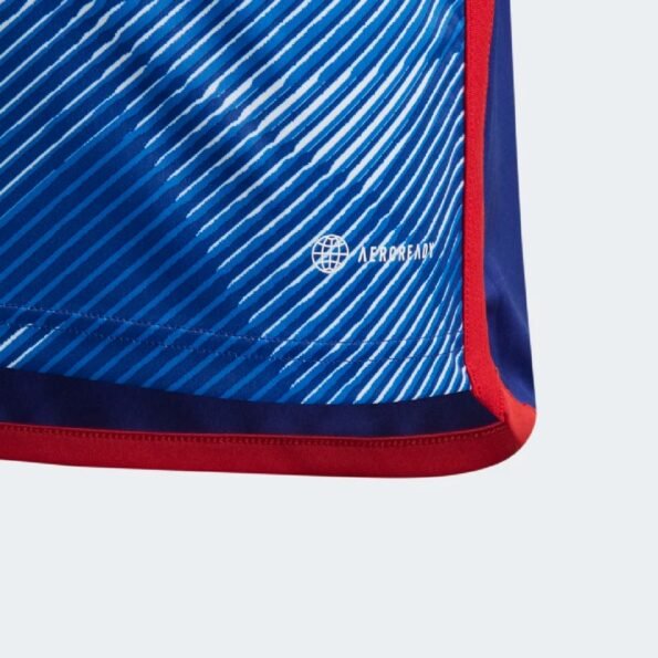 Camisa do Japão Roxo Away  Copa do Mundo Masculina Azul