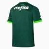 Nova Camisa Palmeiras Verde 2023/24 Masculina